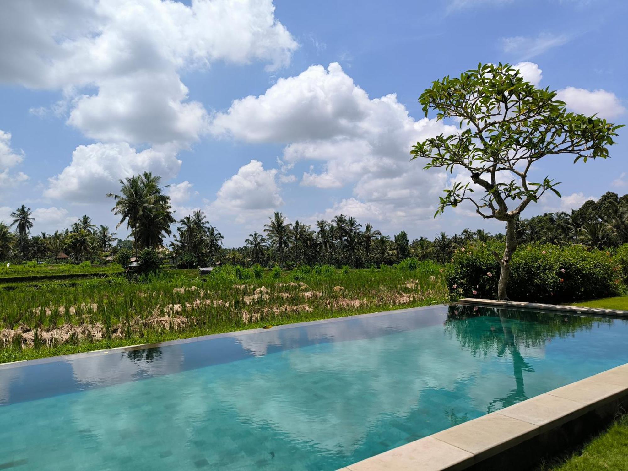 Benisari Batik Garden Cottage Ubud  Room photo